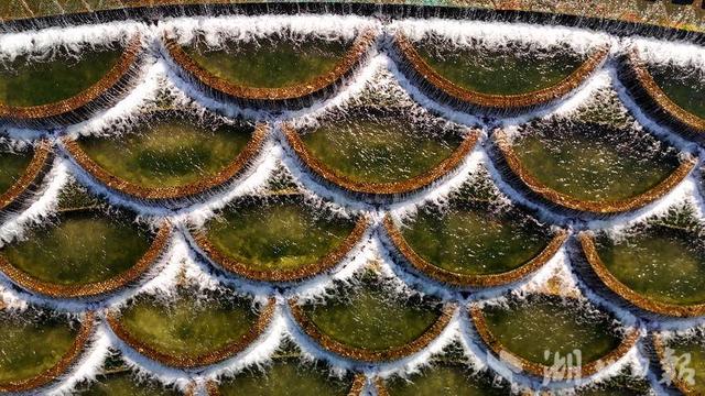 恩施市：麂子渡银鳞溢彩 鱼鳞坝冬韵迷人