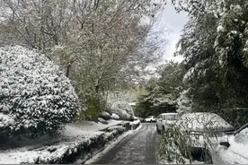 “雪窝”发威！威海一键切换冰雪世界！气象台刚刚发布暴雪黄色预警图片