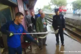 吓人！“不速之客”闯进镇江居民家中……图片