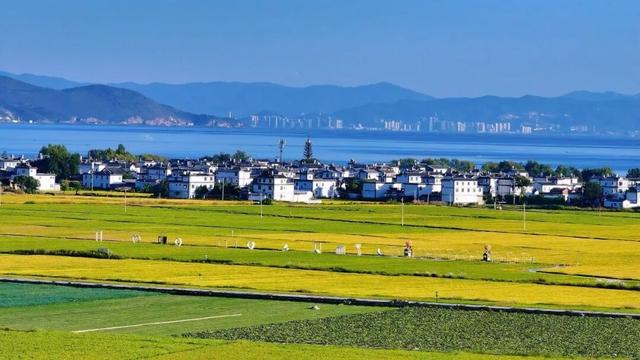 夸得比唱得好听，大理人意满离