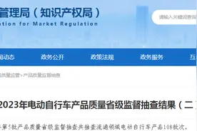 【山东】2023年电动自行车产品质量省级监督抽查结果（二）图片