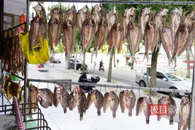 家常淡水鱼齐降价，江城腌鱼季或提前到来图片