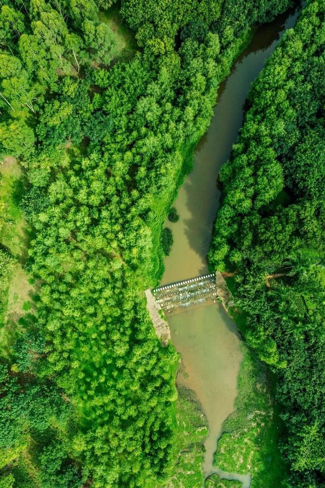 山的那边真的是海吗？为了探求真相，我决定周末就出发……