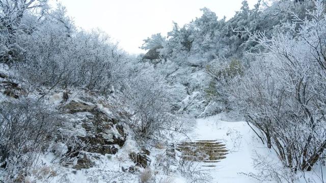 错过等一年！这个冬天，来嵩县“嗨皮”一圈！