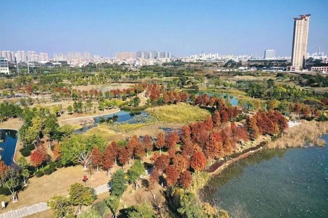 马銮湾的秋日油画里，藏着海沧的“平安底气”