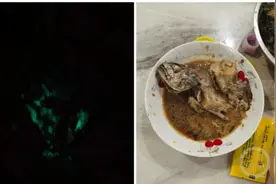 什么情况？！海鱼红烧后，竟然半夜发绿光……图片