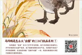 合集｜上山下海，为你讲述“江门优品”的故事图片