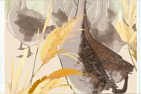 合集｜上山下海，为你讲述“江门优品”的故事图片