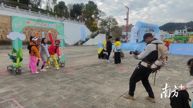 穿越万亩茶园，紫金龙窝首届徒步活动吸引千人打卡“蝉茶小镇”