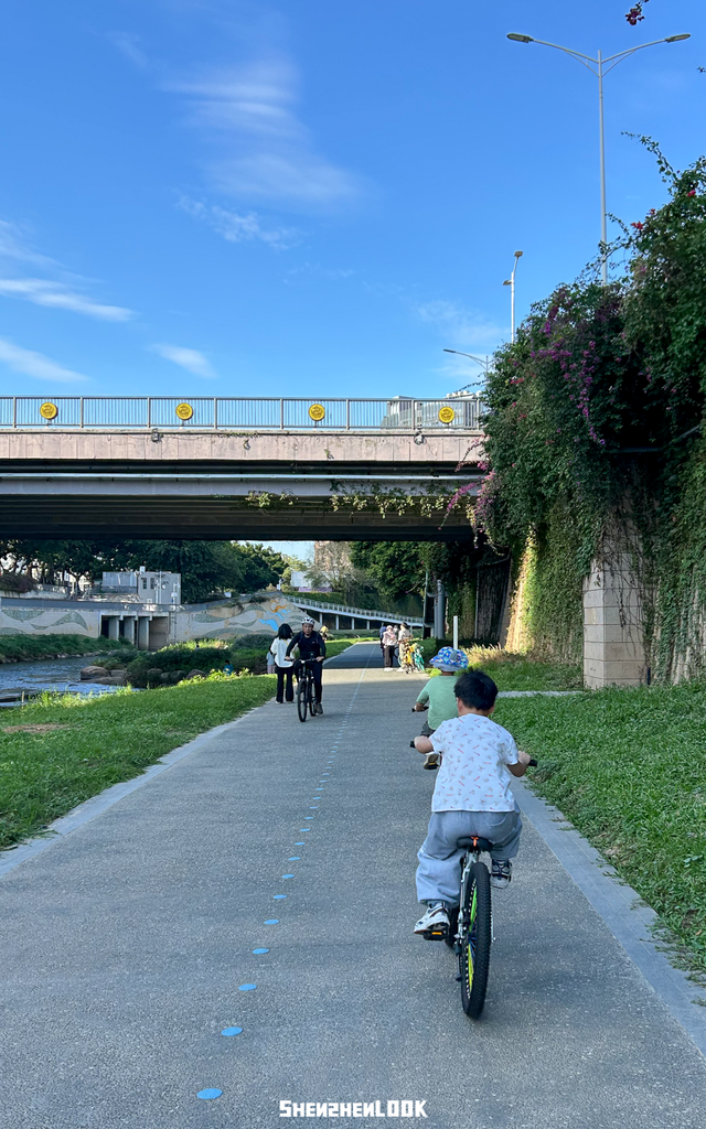 “看牛看海看夜景，深圳骑行路线精选”
