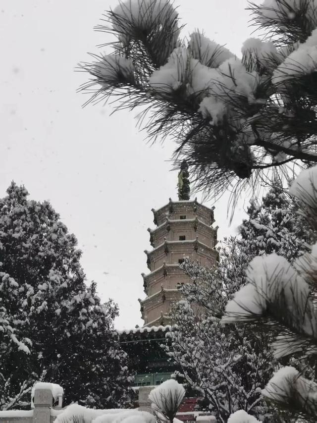 票价低至2字头！南充直飞多地，快来解锁冬日限定浪漫——