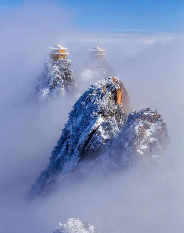 年假清零，总要留几天给洛阳