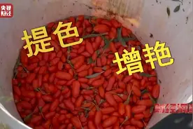 央视曝光商户违规使用焦亚硫酸钠为枸杞增色图片