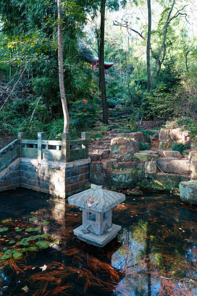 人少景美不绕路，东湖秋日彩蛋上新