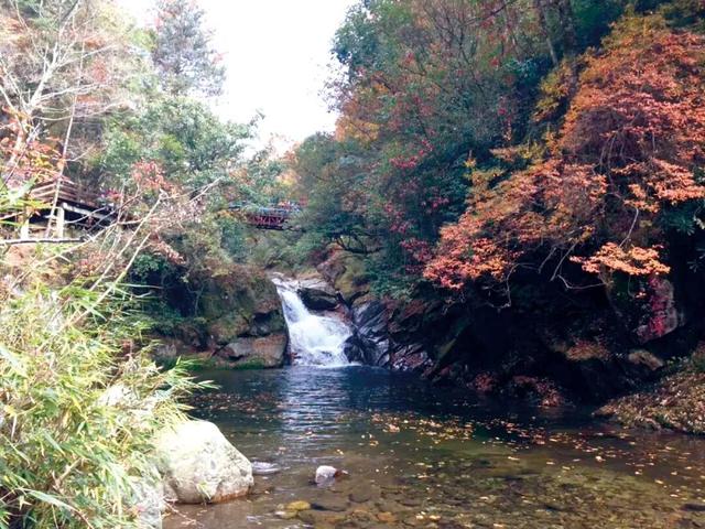 高铁直达的红叶观赏地，迎来“年度高光”！