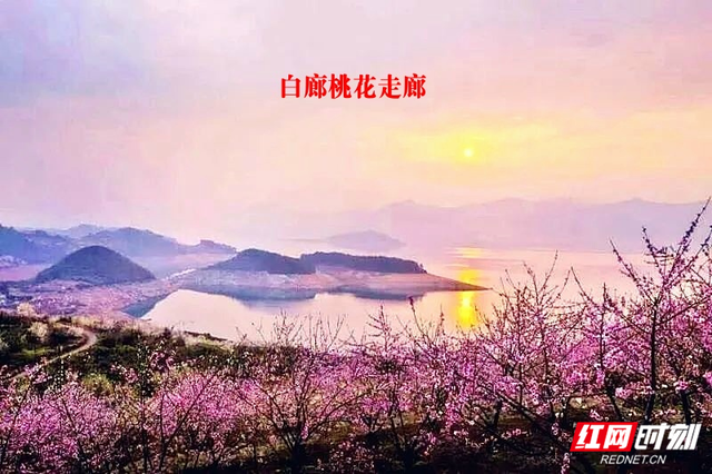 郴州“和美乡村”国庆漫游指南：看见不一样的“湘”村烟火与诗意