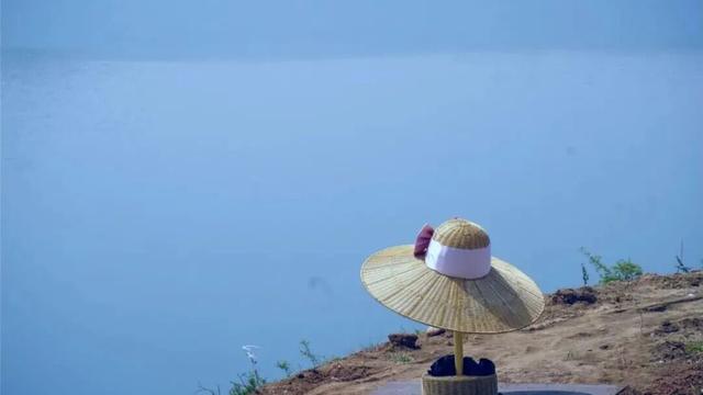 重返20°C+，洛阳极品好天气！速速出门！