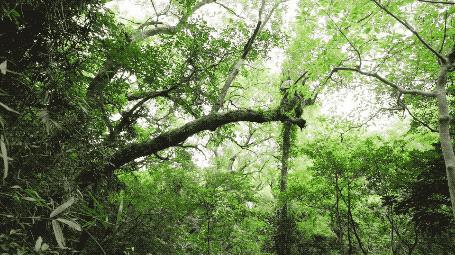 他初中毕业后终身不婚，荒野舍命工作20年，被一群博士封神