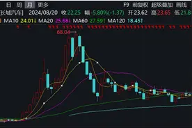 长城汽车被南方电网列为“不接受投标”供应商，年内股价跌超10%图片