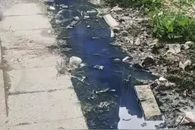 烟台民意通丨嵛景华城小区71号楼下污水横流图片