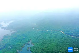 环热带雨林国家公园旅游公路通车图片