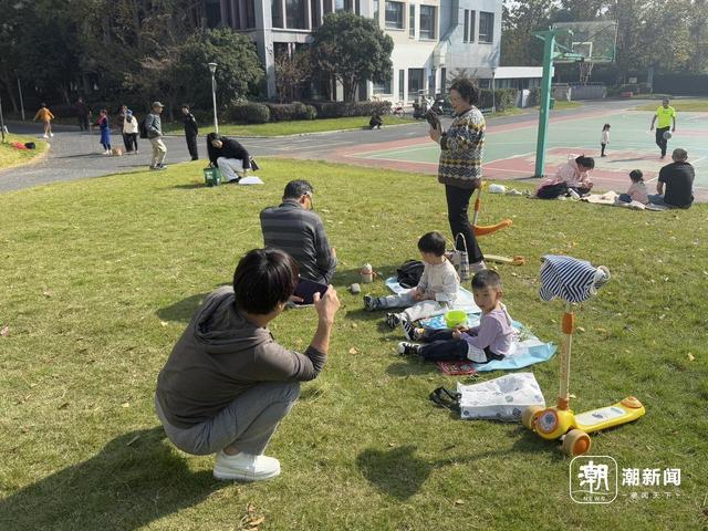 清吟街银杏正在变色，科技园里已落叶成诗，杭州秋日限时款美景渐入佳境