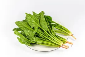 注意了！焯水不是简单煮一下！这6类食物必须焯水→图片