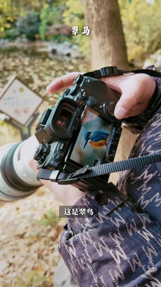 长宁的“双子山”爬过伐？跟着“宁宁”来爬山了！【看“宁”的】