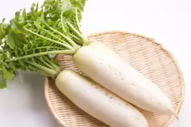 冬天最适合吃哪种萝卜？白的还是红的？功效有什么差异？图片