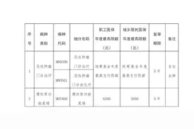 咸宁市医疗保障局公告图片