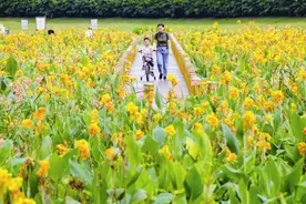 2024年六五环境日国家主场活动在南宁市举办 奋力谱写新时代美丽中国建设南宁篇章图片