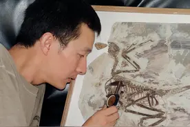 当“恐龙院士”携手“艺术工匠”图片