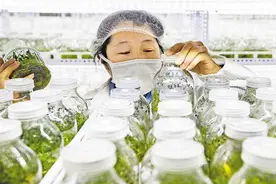 守护野生动植物的重庆故事图片