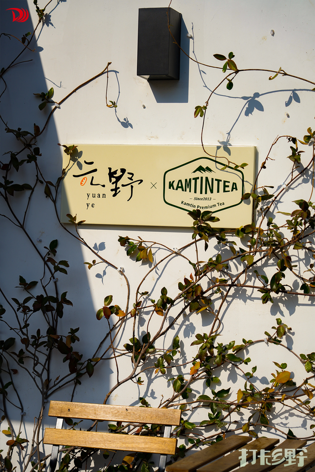 打卡乡野丨新年第一站，去上海离宇宙最近的村子，仰望星空，脚踏田野，开启元气新年