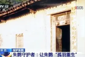 从7只到种群破万 42年保护让朱鹮“孤羽重生”图片