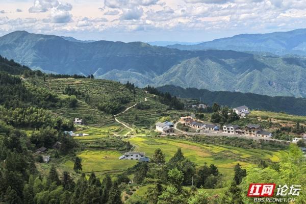 全球最长高山索道开通！解锁“云端赏梯田”新体验，秘境不再难寻