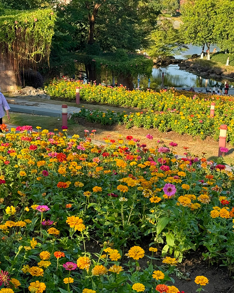 开往秋天花海的地铁，快上车！丨一“线”游广佛