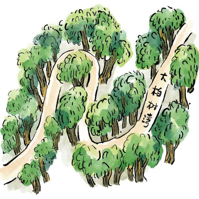 四川安逸入画｜翠云廊