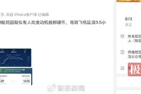 向飞机扔硬币致航班延误，为什么还有如此闹剧发生图片