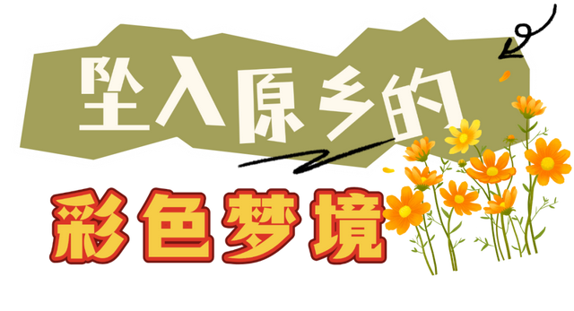 常州，又开始涨“粉”了！