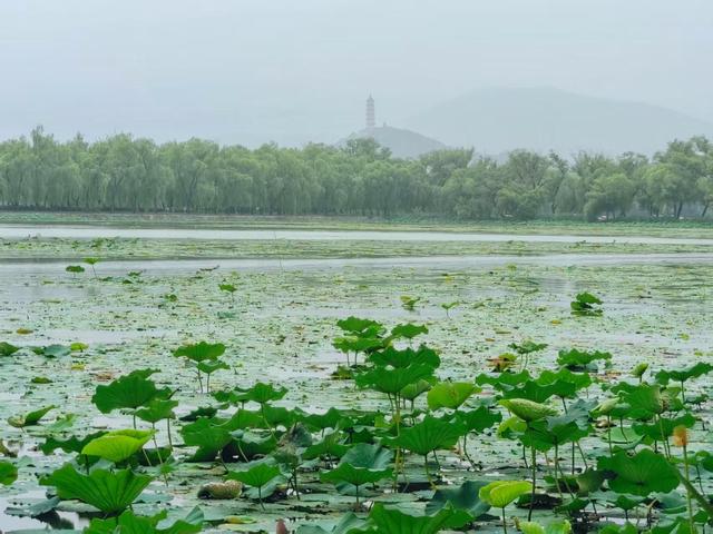水墨颐和园，胜似烟雨江南