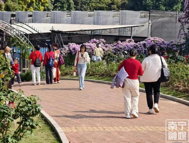 旅游天气提示 | 降温+降雨！新冷空气又“续”上了，南宁终于要入冬啦？