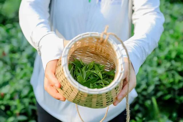 快来打卡！在日照，遇见“煤”好！