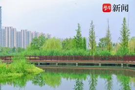 精细管理“提质增效”！苏州相城黄桥街道“席地而坐”城市客厅，让幸福触“地”可及图片