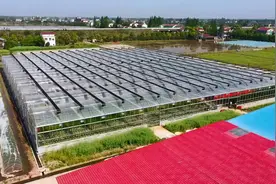 新华全媒+｜洞庭湖区采用早稻催芽新方法图片