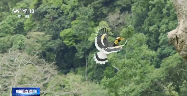 有一种生活叫云南 冬日滇池邀你来一场“观鸥游”