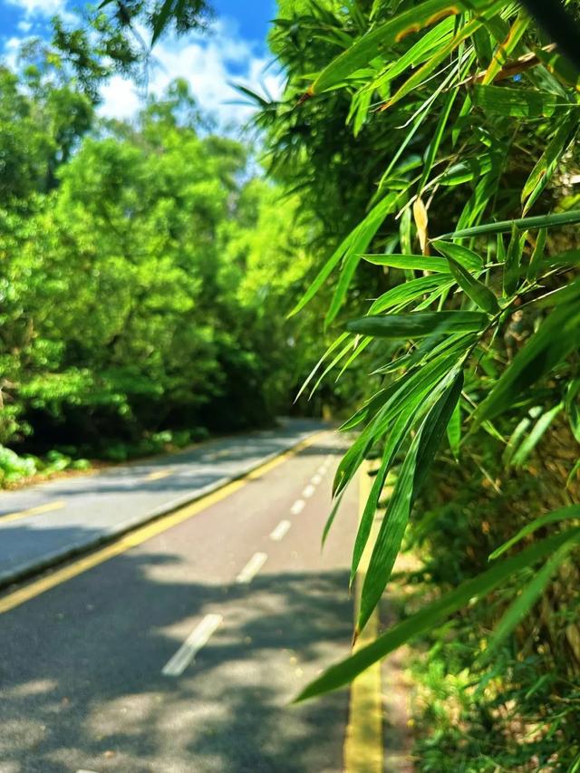 7公里黄金绿道！一天尽揽湖光山色