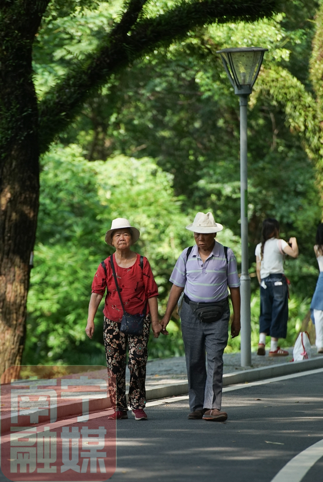 进入专属于“宁”的森系童话！感受城市里收藏的“绿野仙踪”→