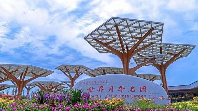 19.9元！畅玩南阳世界月季大观园！“国庆月季文化周”即将拉开帷幕