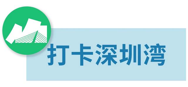 深圳落羽杉！红！了！